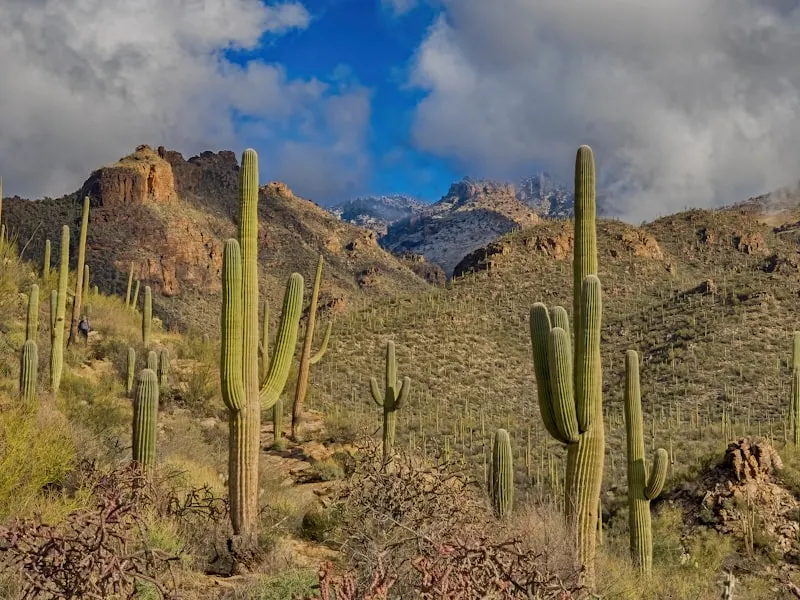 Tucson, AZ trailer rentals